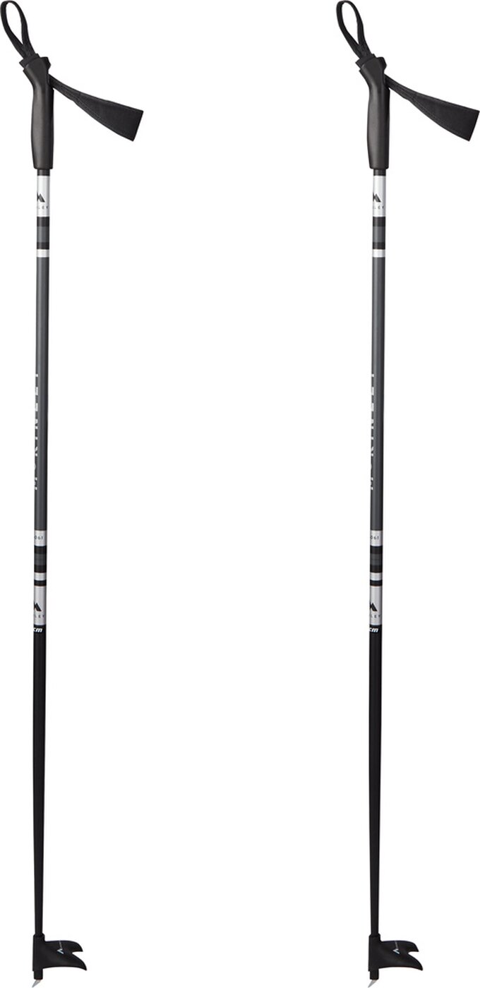 Ki.-LL-Skistock ACTIVE ALU JR BLACK/SILVER/ANTHRAC Bild 1