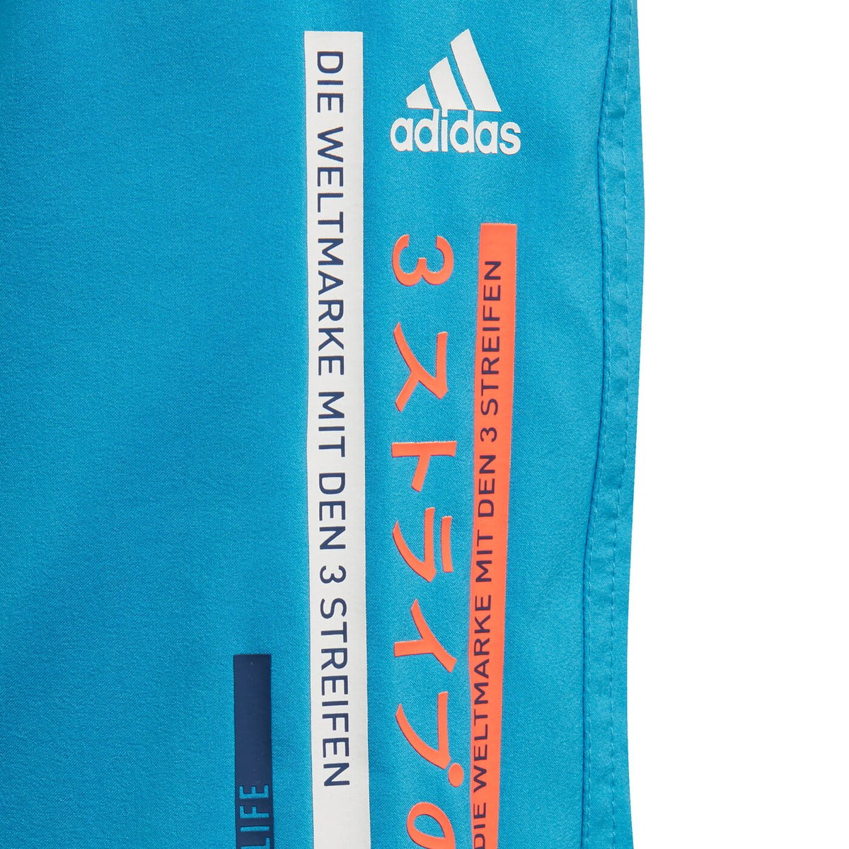YA CB SHORTS SHOCYA Bild 4