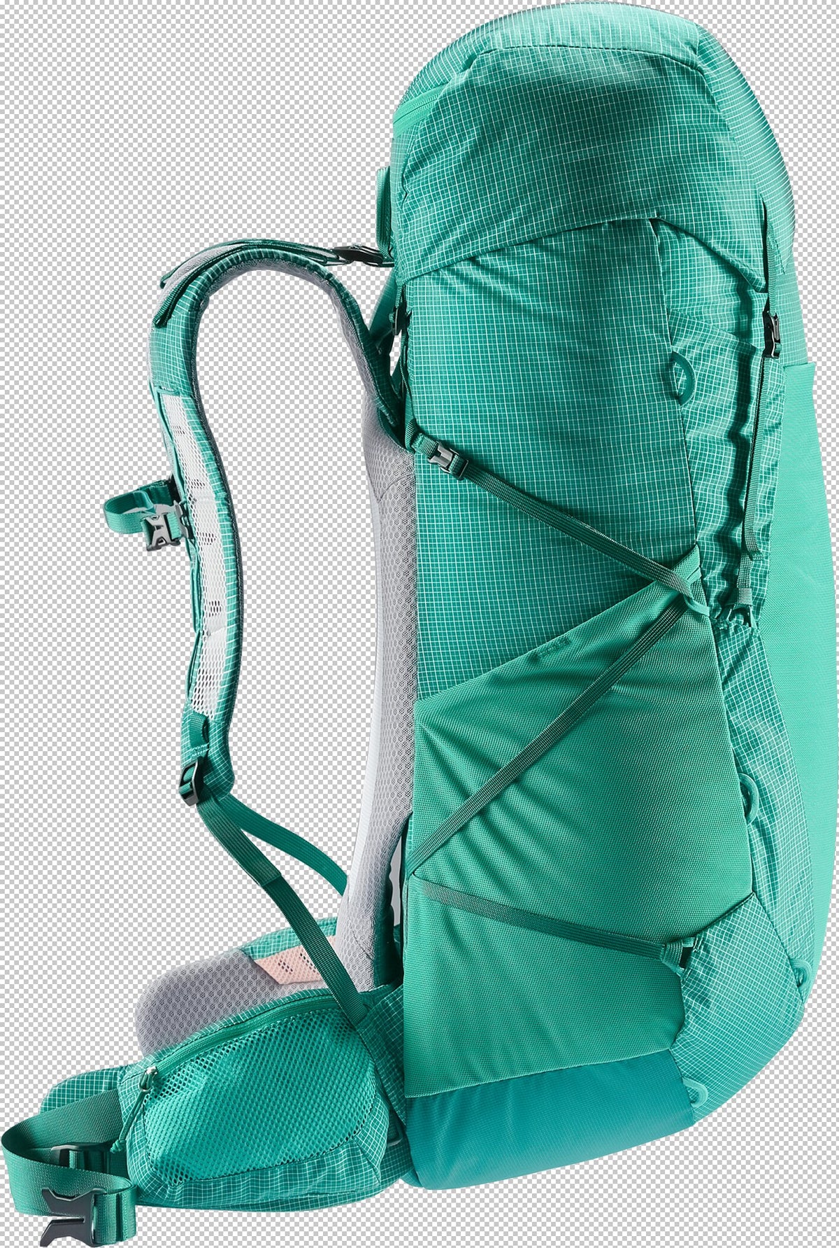 Aircontact Ultra 50+5 2282 fern-alpinegreen Bild 3